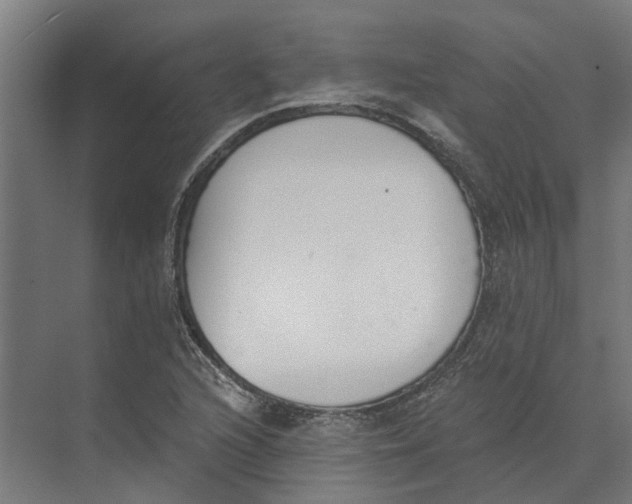 X0000073971216200609111733