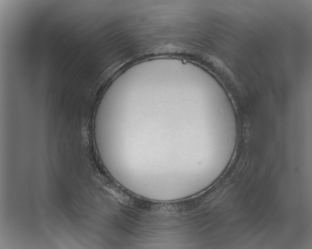 X0000073971217200609111733