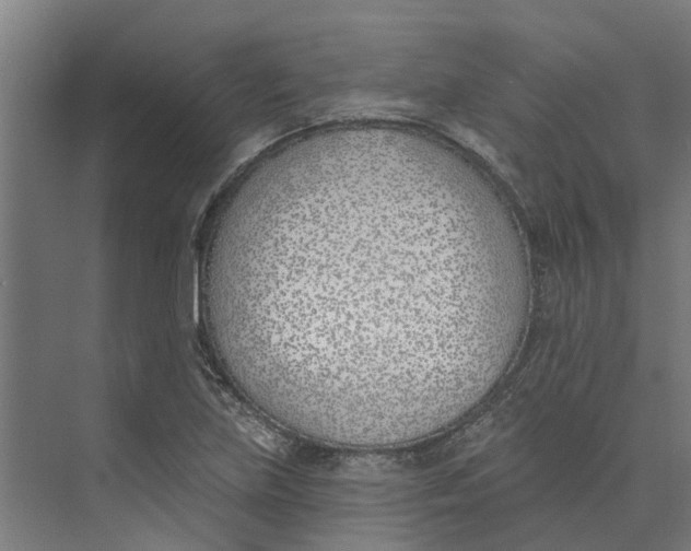 X0000073971219200609111733