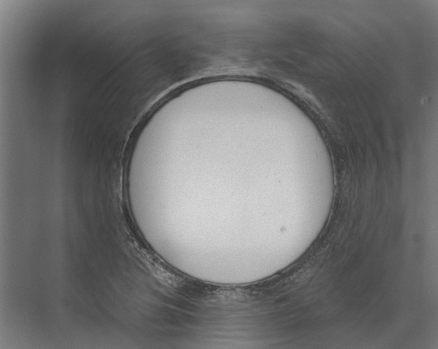 X0000073971220200609111733