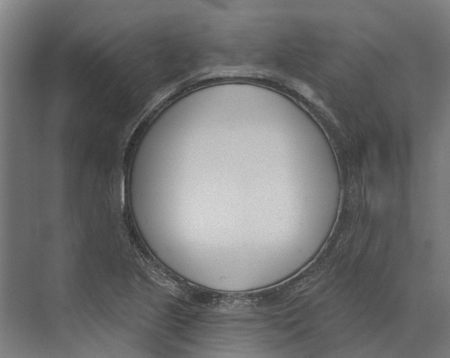 X0000073971221200609111733