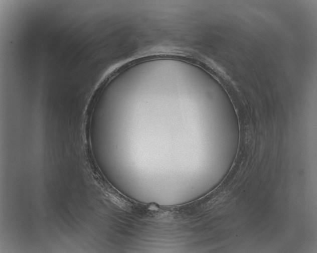 X0000073971222200609111733