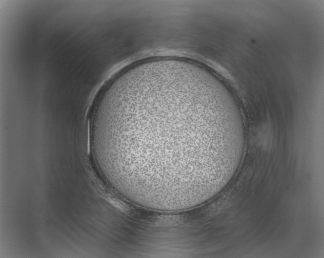 X0000073971223200609111733