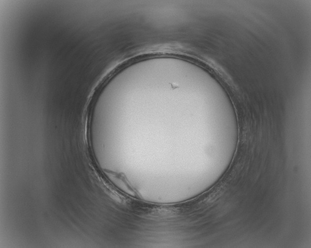 X0000073971224200609111733