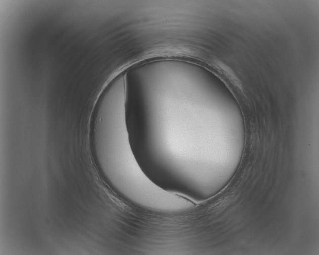 X0000073971226200609111733