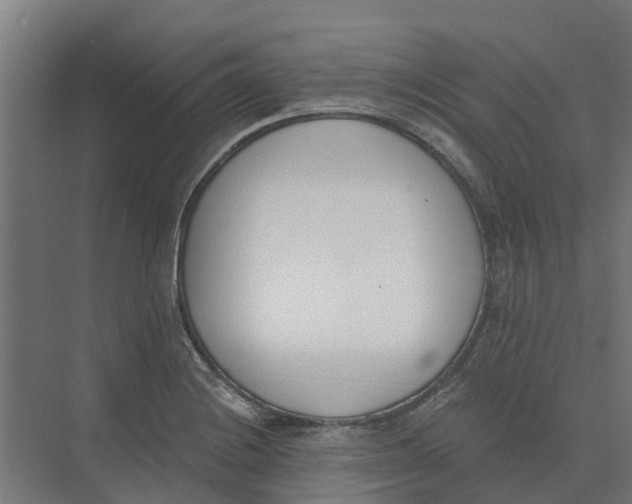 X0000073971228200609111733