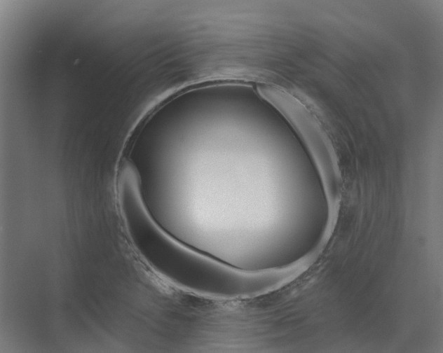 X0000073971230200609111733