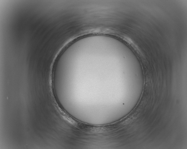 X0000073971232200609111733