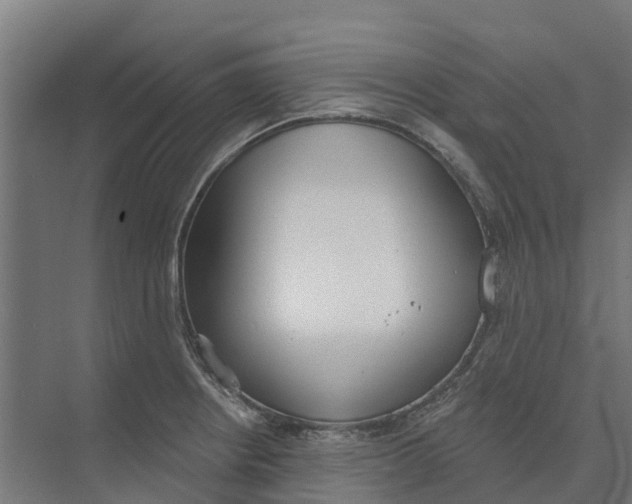 X0000073971234200609111733