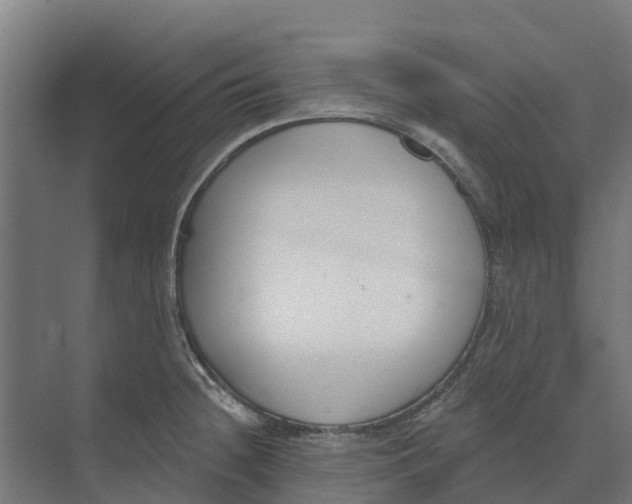 X0000073971236200609111734