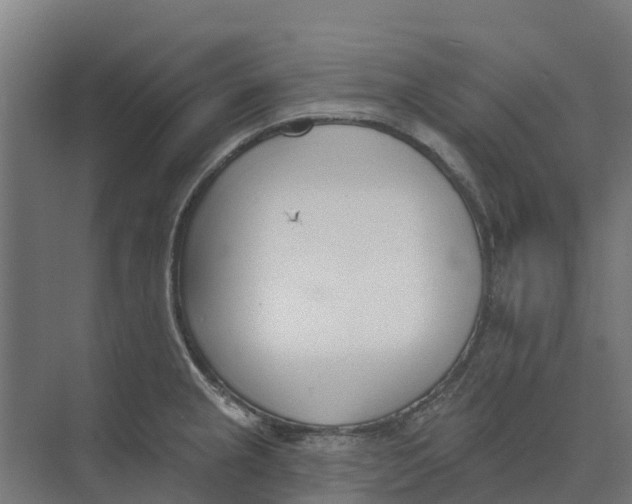 X0000073971237200609111734