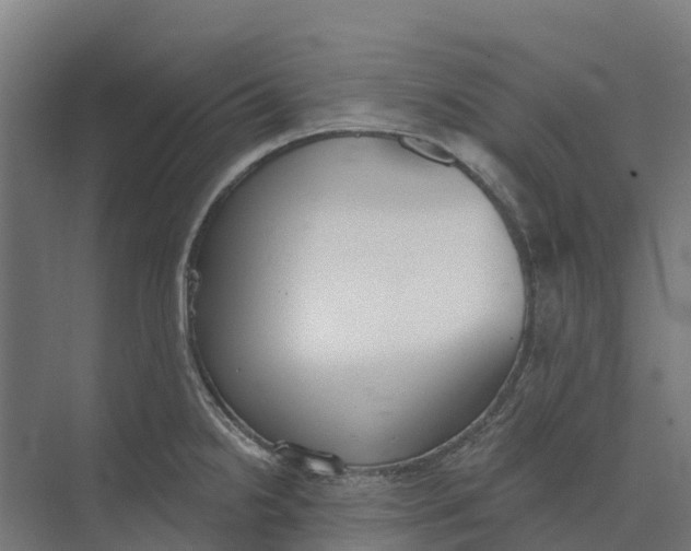 X0000073971238200609111734