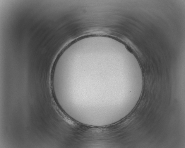 X0000073971240200609111734