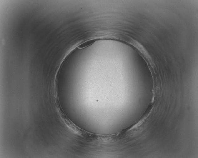 X0000073971242200609111734