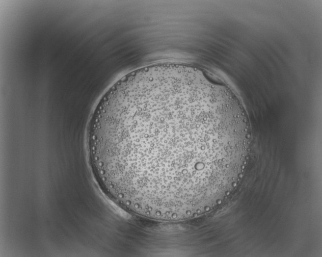 X0000073971243200609111734