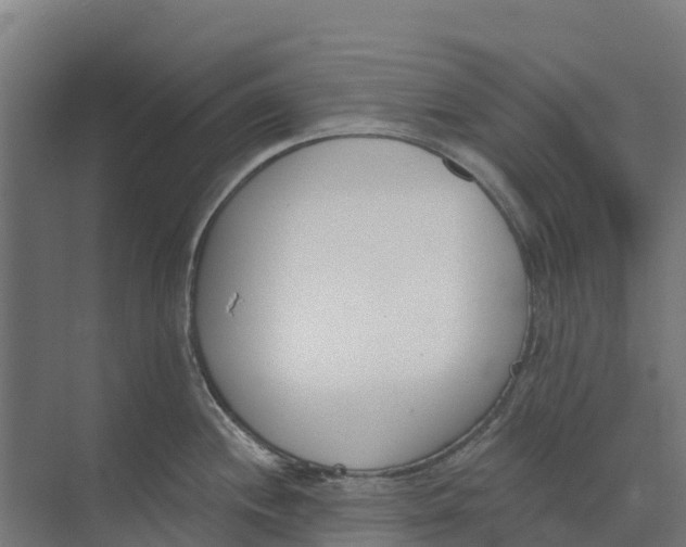 X0000073971244200609111734