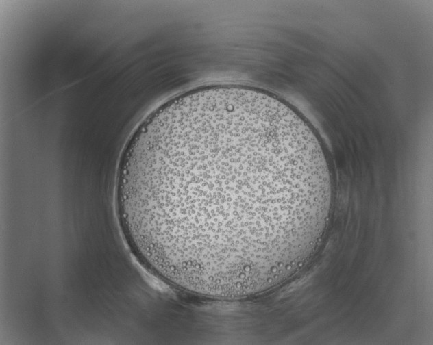 X0000073971245200609111734