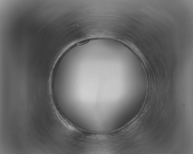 X0000073971246200609111734