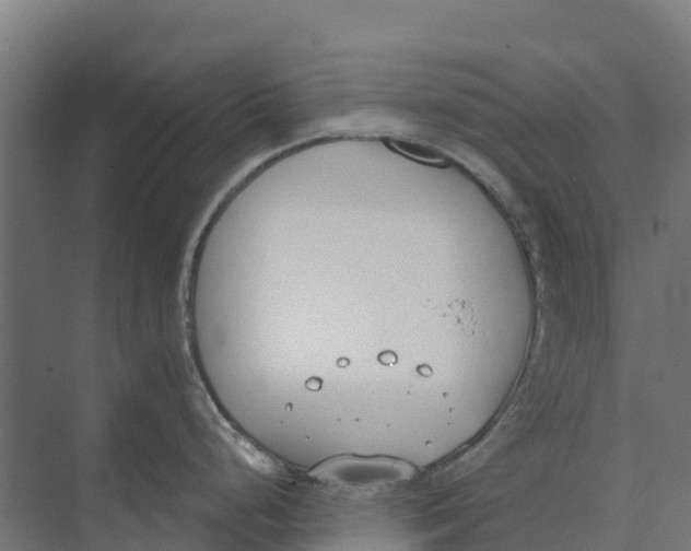 X0000073971248200609111734