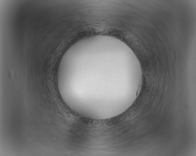 X0000073971249200609111733