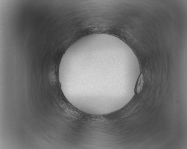 X0000073971250200609111733