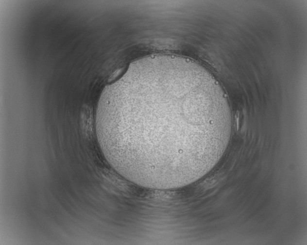 X0000073971251200609111733