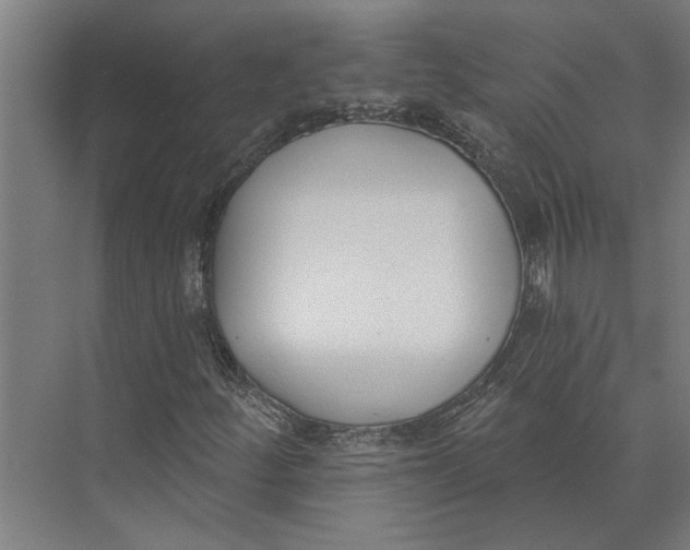 X0000073971252200609111733