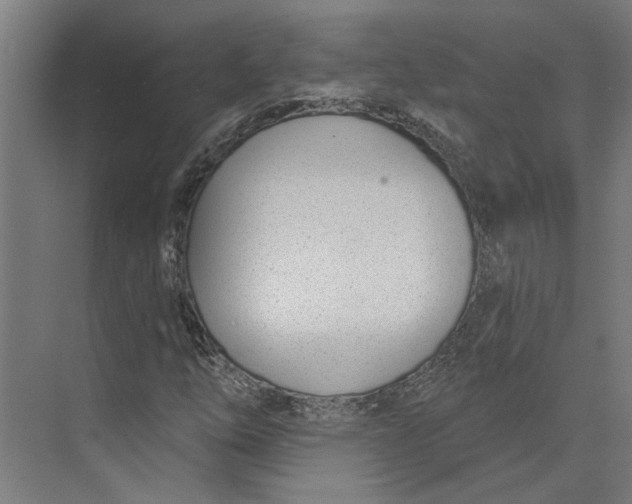 X0000073971254200609111733