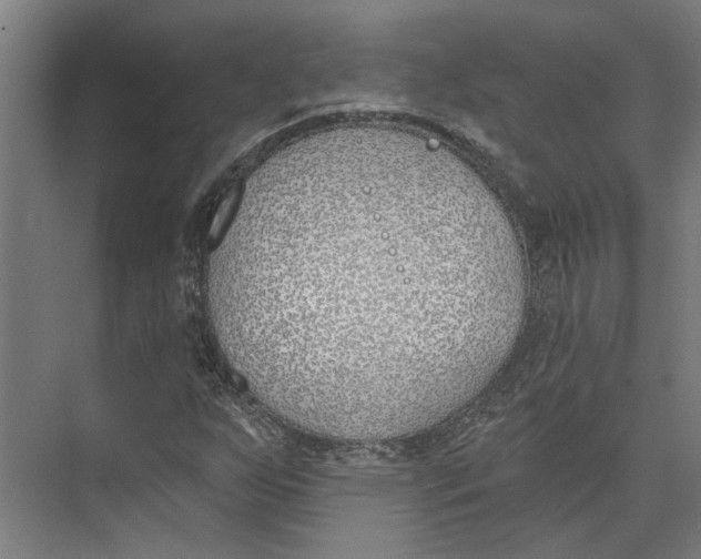 X0000073971255200609111733