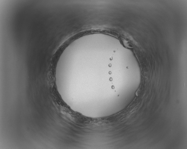 X0000073971256200609111733