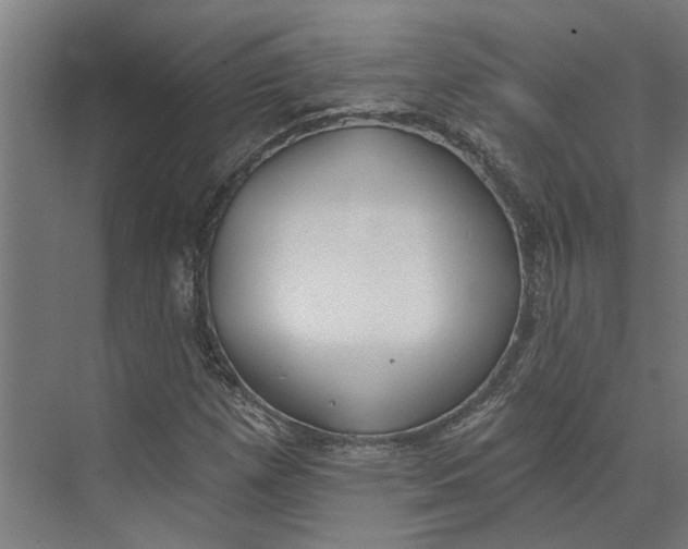 X0000073971257200609111733