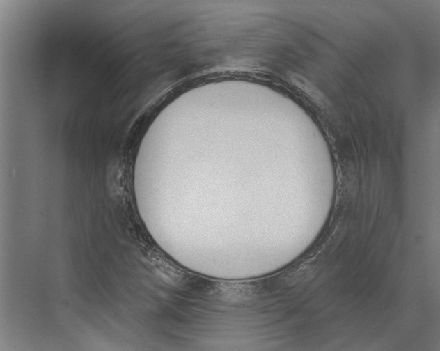 X0000073971258200609111733