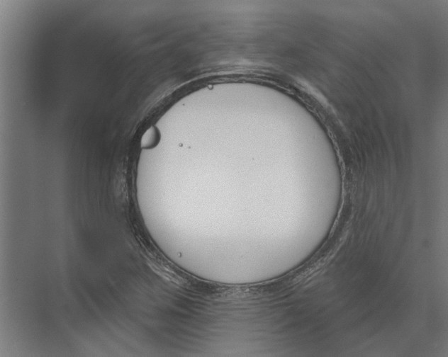 X0000073971259200609111733