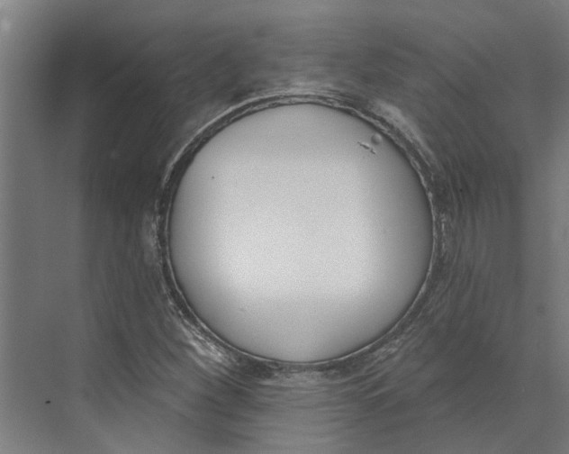 X0000073971260200609111733