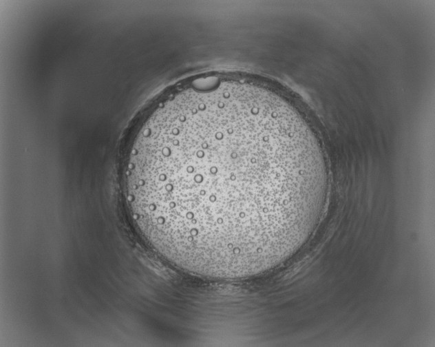 X0000073971263200609111733