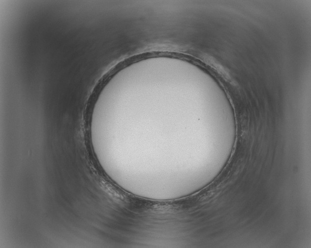 X0000073971264200609111733