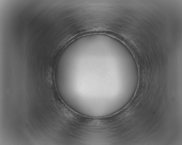 X0000073971265200609111733