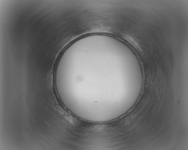 X0000073971268200609111733