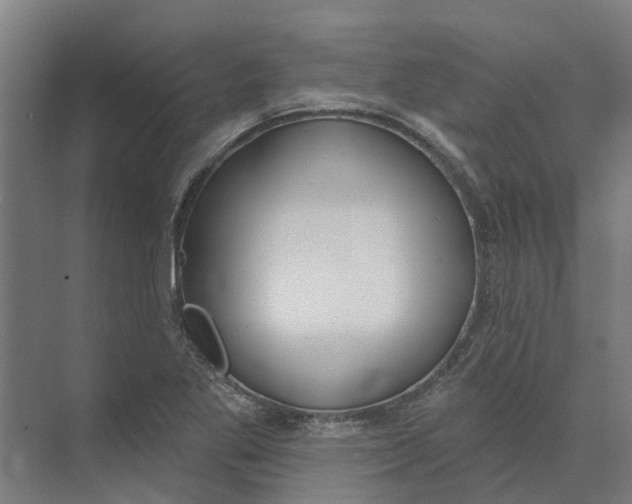 X0000073971269200609111733