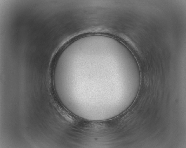 X0000073971270200609111733