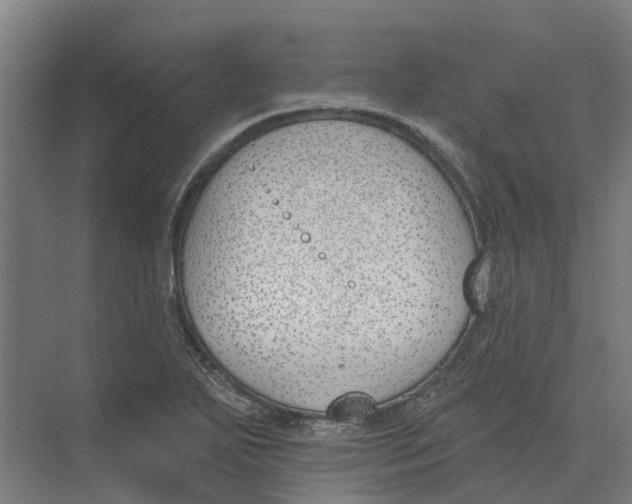 X0000073971271200609111733