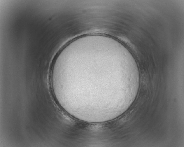 X0000073971278200609111732