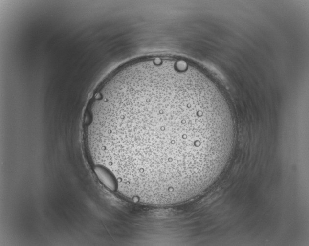 X0000073971279200609111732