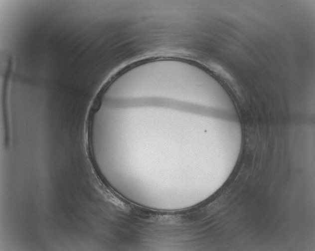 X0000073971280200609111732