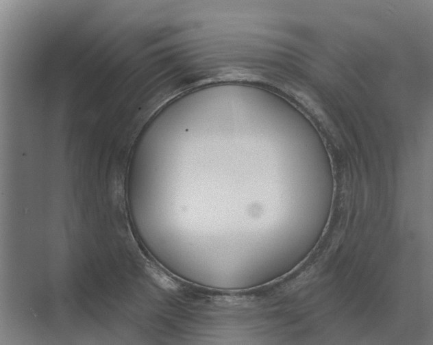 X0000073971281200609111732