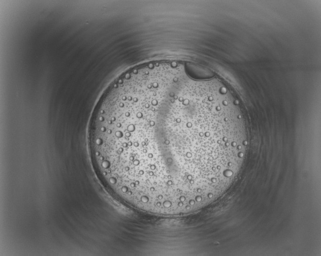 X0000073971283200609111732