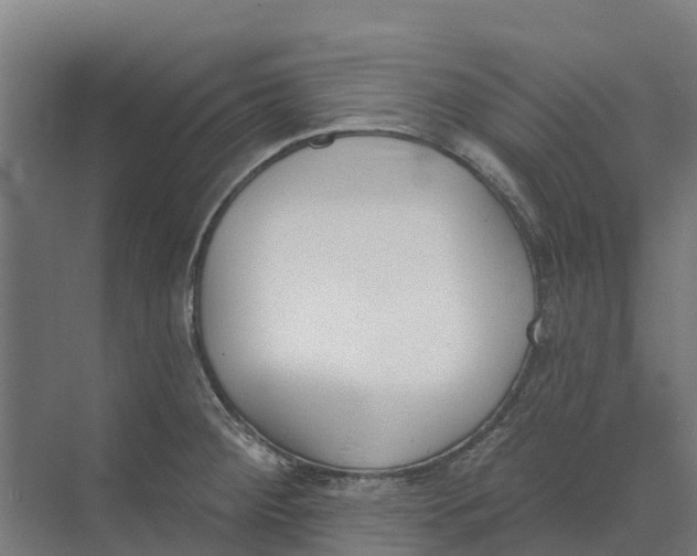 X0000073971284200609111732