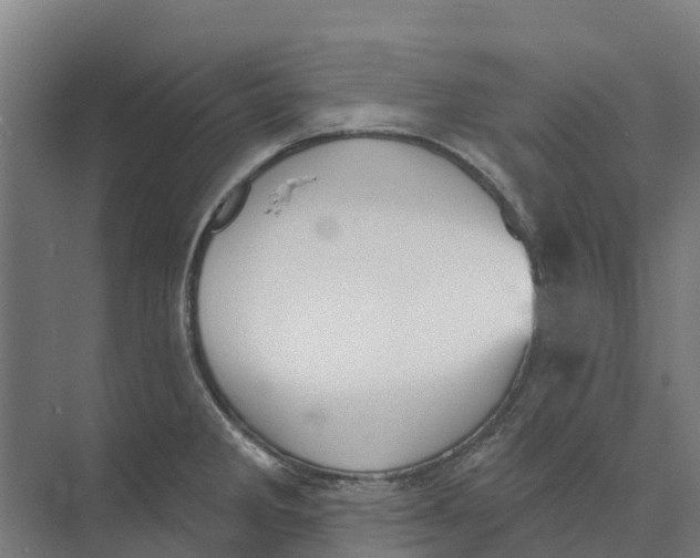 X0000073971285200609111732