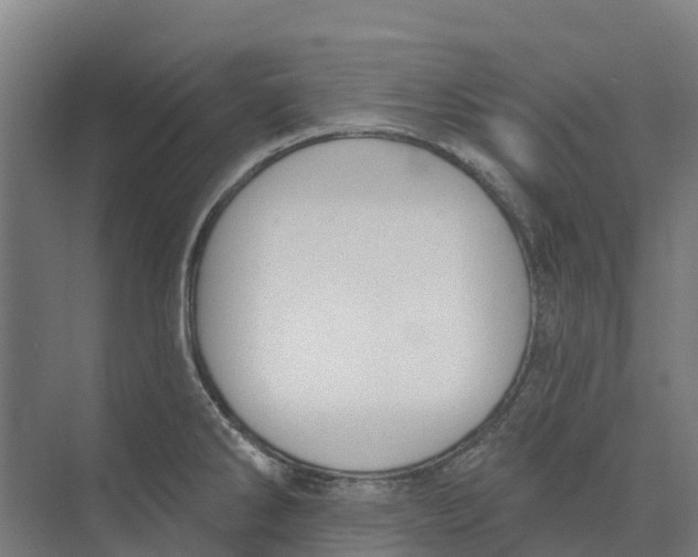 X0000073971286200609111732