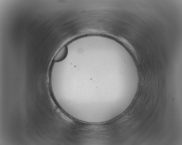 X0000073971287200609111732